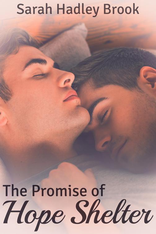 This image is the cover for the book The Promise of Hope Shelter