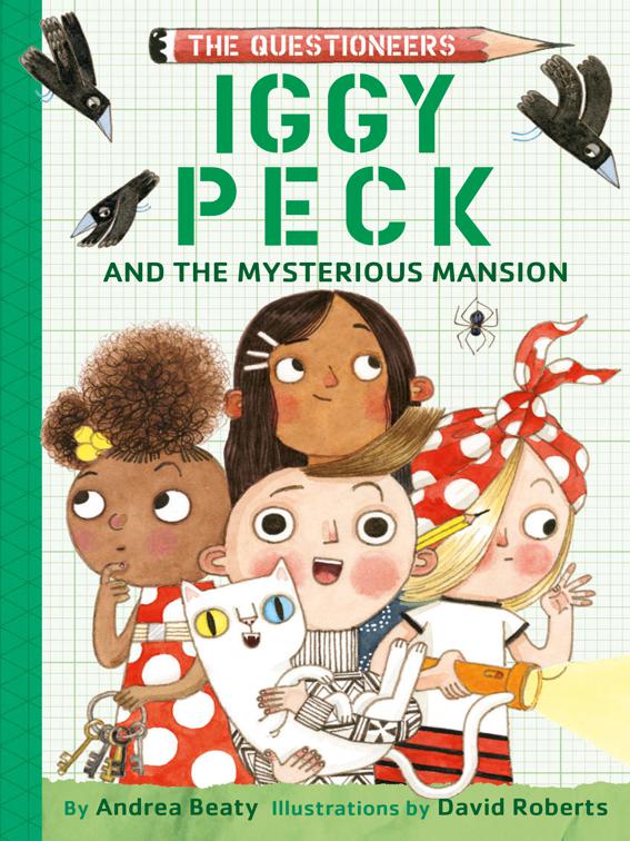Iggy Peck and the Mysterious Mansion, The Questioneers