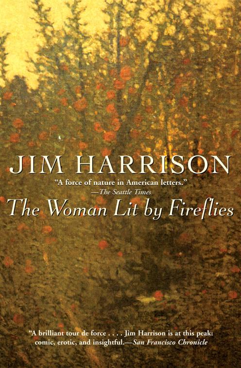 Woman Lit by Fireflies