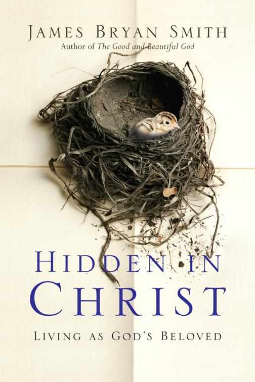 Hidden in Christ, Apprentice Resources