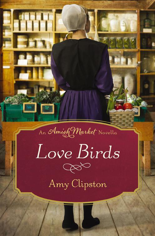 Love Birds, Amish Market Novellas