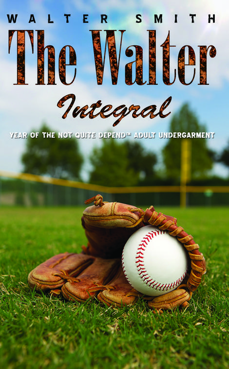 This image is the cover for the book The Walter Integral