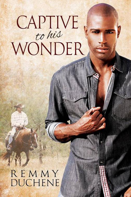 This image is the cover for the book Captive to His Wonder