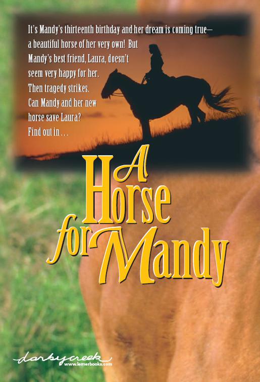 Horse for Mandy, Lurlene McDaniel