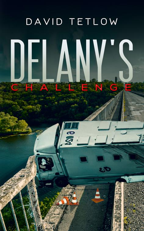 This image is the cover for the book Delany's Challenge