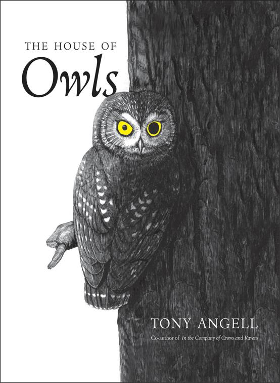 House of Owls