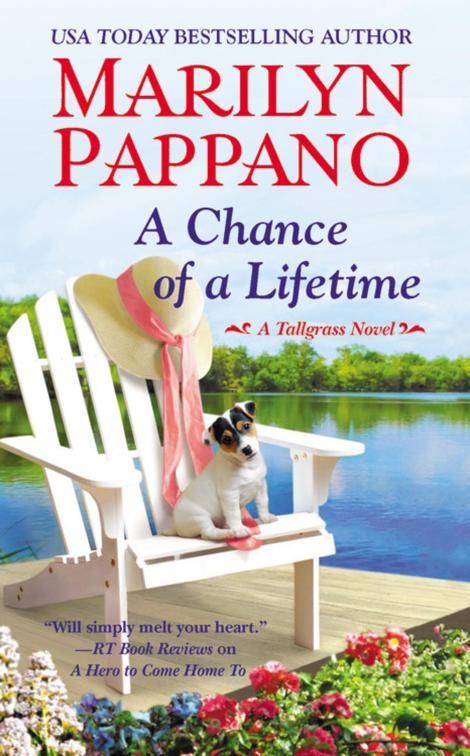 Chance of a Lifetime, Tallgrass Novels
