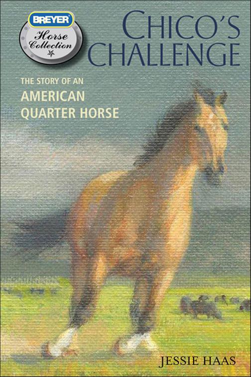 Chico&#x27;s Challenge, The Breyer Horse Collection