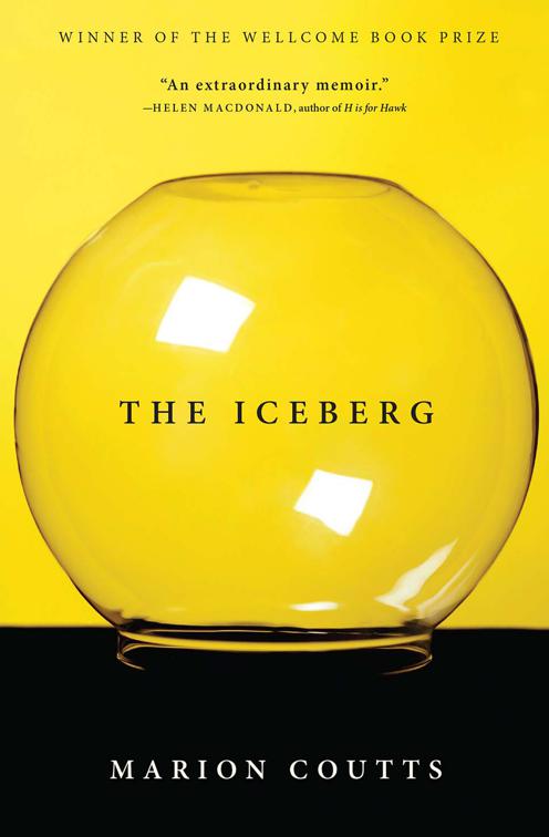 Iceberg