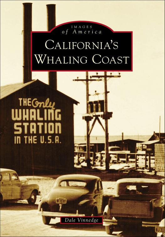 California&#x27;s Whaling Coast