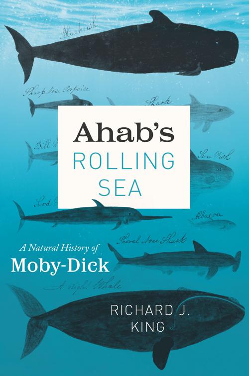 Ahab&#x27;s Rolling Sea