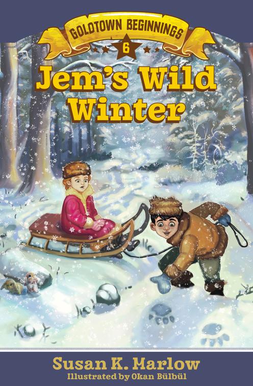 This image is the cover for the book Jem's Wild Winter, Goldtown Beginnings