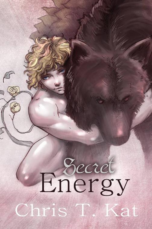 Secret Energy, Shifters