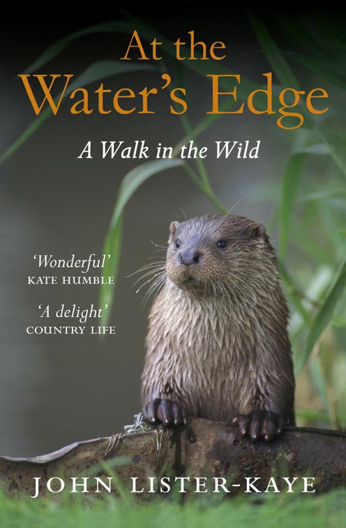 At the Water&#x27;s Edge