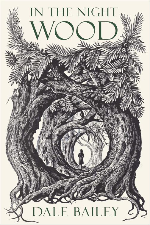 In The Night Wood