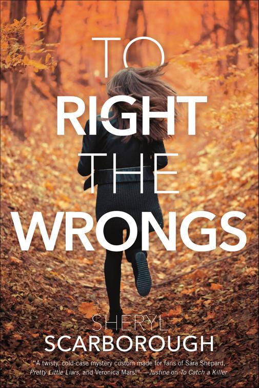To Right the Wrongs, Erin Blake