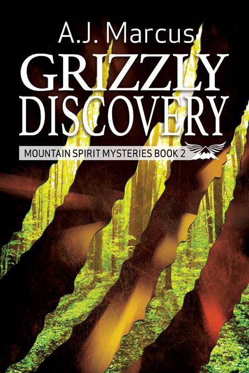 This image is the cover for the book Grizzly Discovery, Mountain Spirit Mysteries