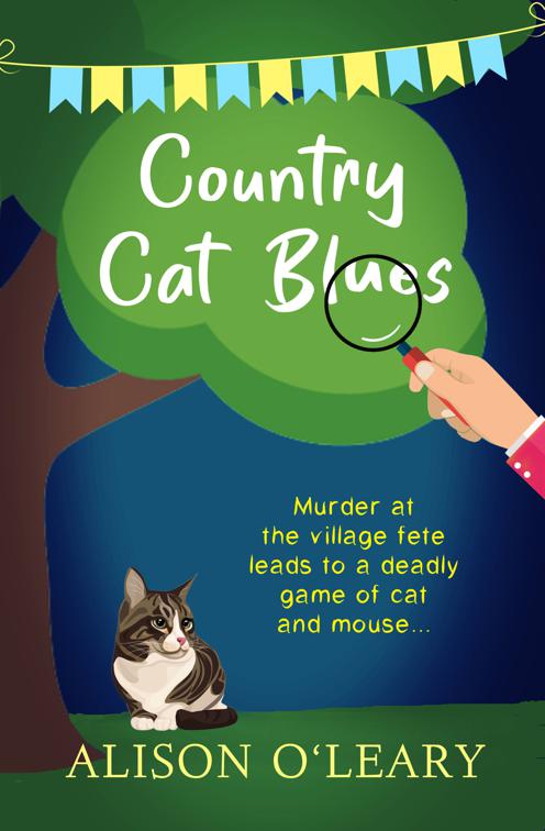 Country Cat Blues, Cat Noir