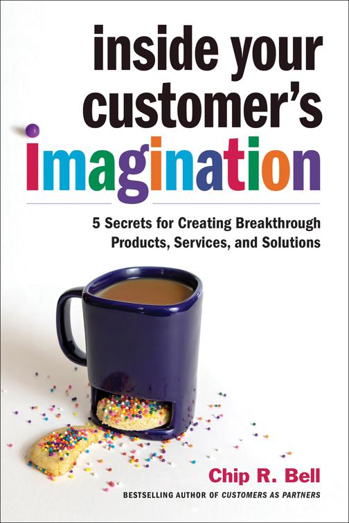 Inside Your Customer&#x27;s Imagination