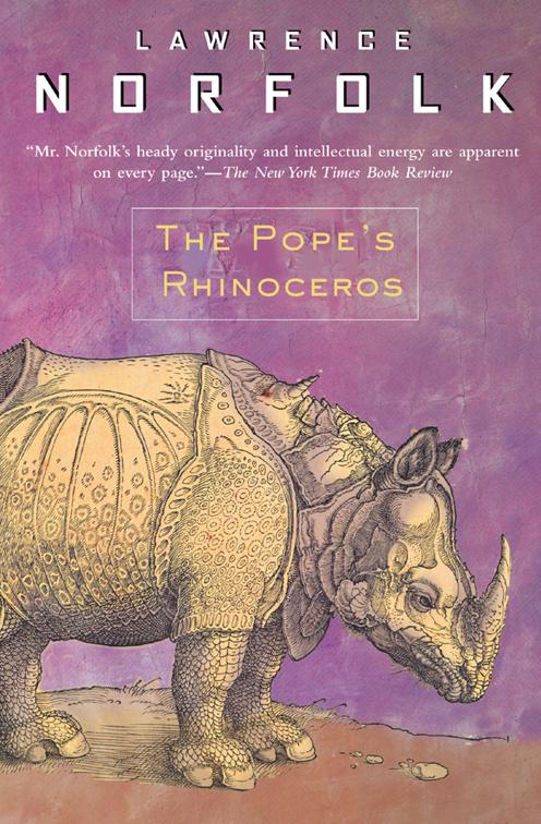 Pope&#x27;s Rhinoceros