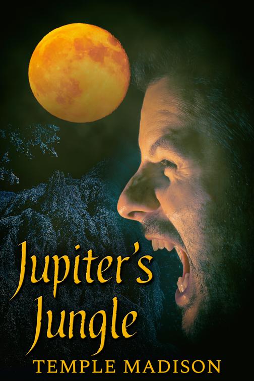 Jupiter&#x27;s Jungle