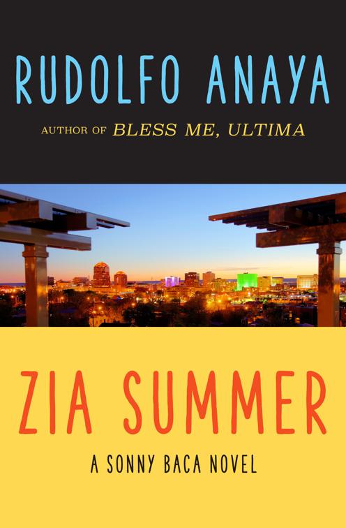 Zia Summer, The Sonny Baca Novels