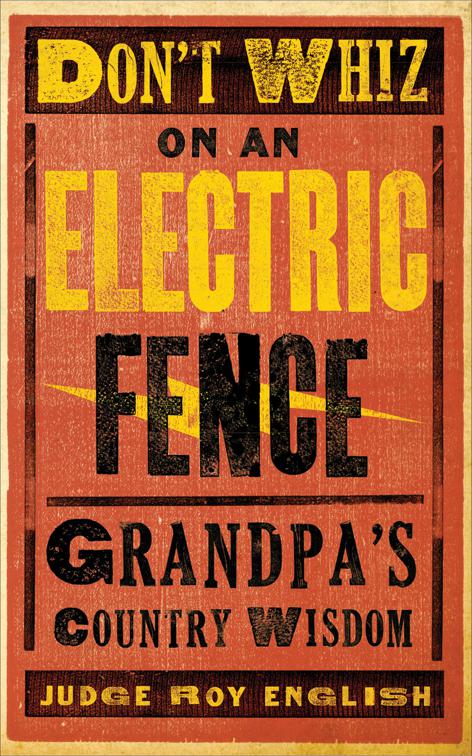 Don&#x27;t Whiz on an Electric Fence