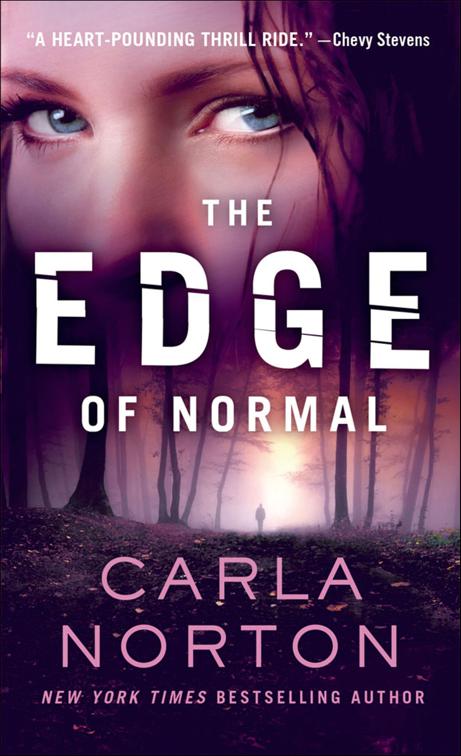 Edge of Normal, Reeve LeClaire Series