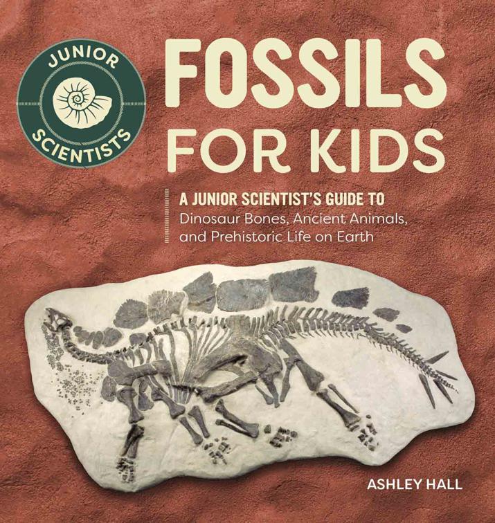 Fossils for Kids