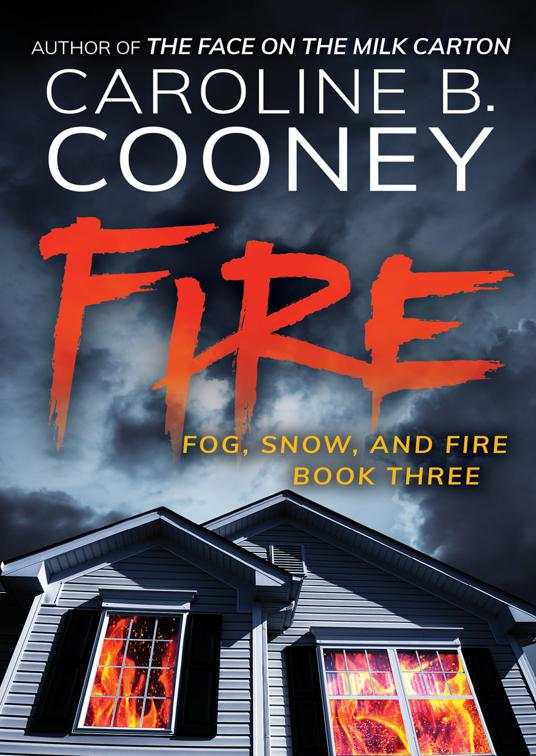 This image is the cover for the book Fire, Fog, Snow, and Fire