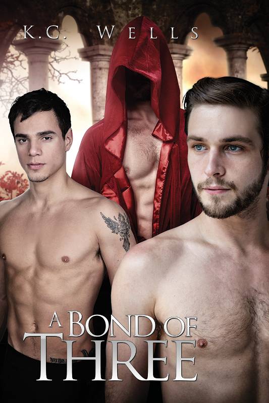 This image is the cover for the book A Bond of Three, Sensual Bonds