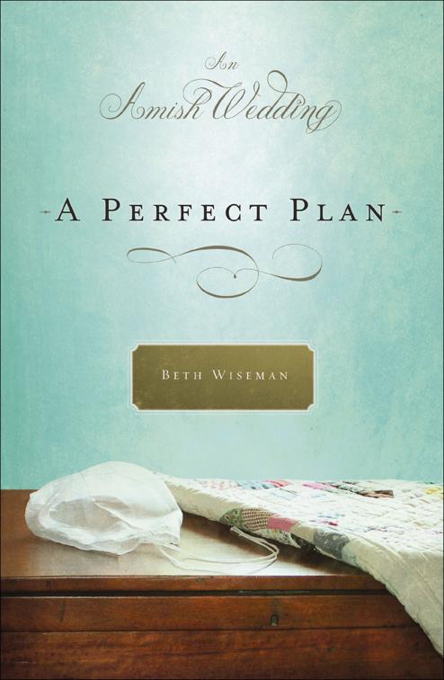 Perfect Plan, Amish Wedding Novellas