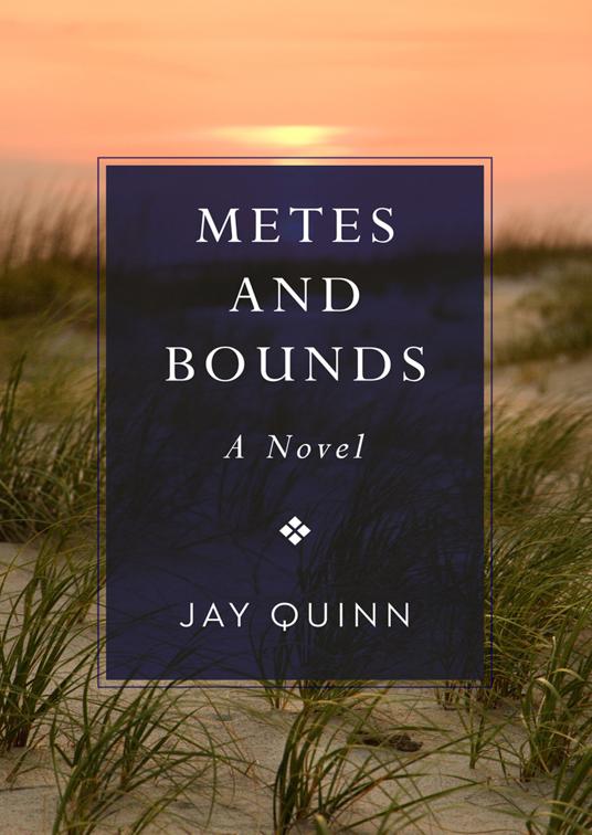 This image is the cover for the book Metes and Bounds