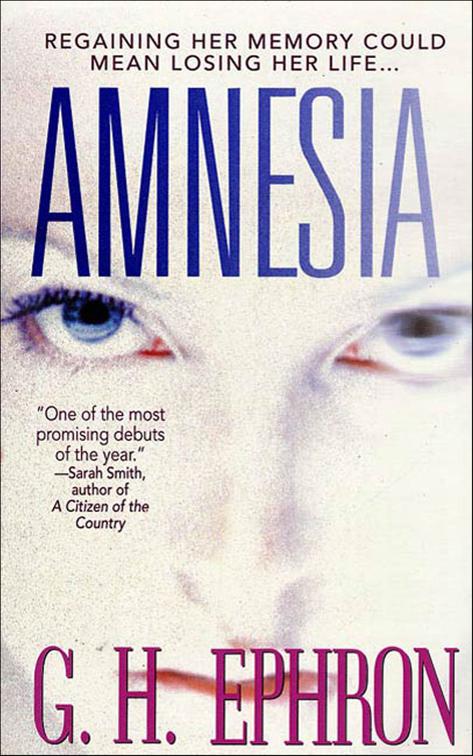 Amnesia, Peter Zak Mysteries