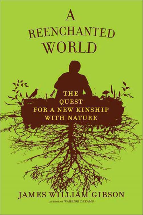 Reenchanted World