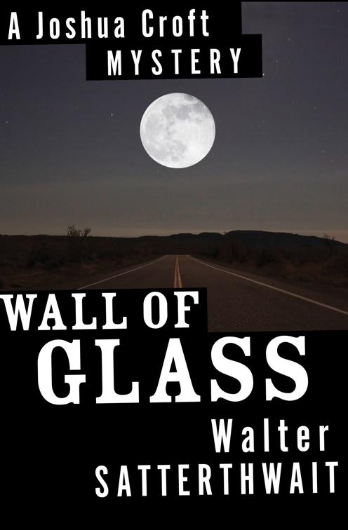 Wall of Glass, The Joshua Croft Mysteries