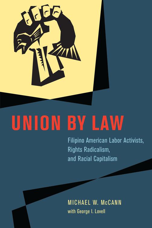 Union by Law, Chicago Series in Law and Society