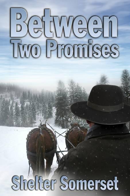 This image is the cover for the book Between Two Promises, Between Two Worlds
