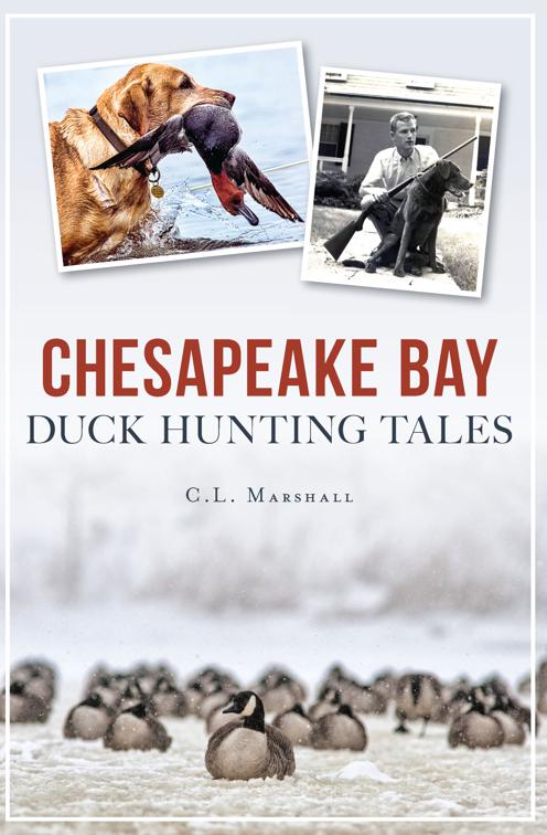 Chesapeake Bay Duck Hunting Tales, Sports