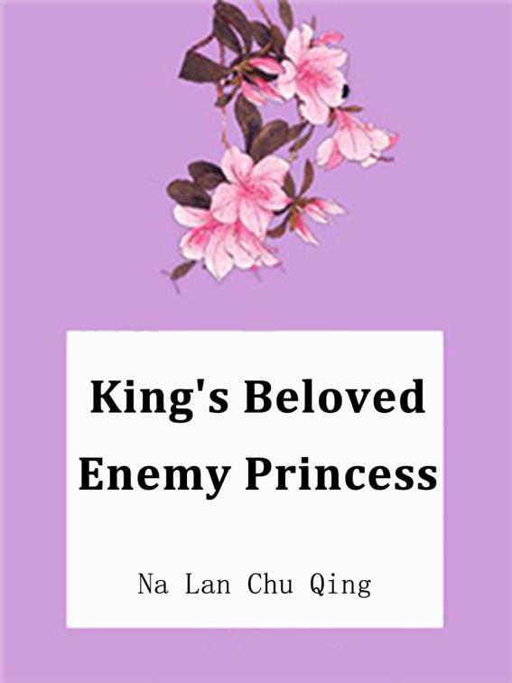 King&#x27;s Beloved Enemy Princess, Volume 1
