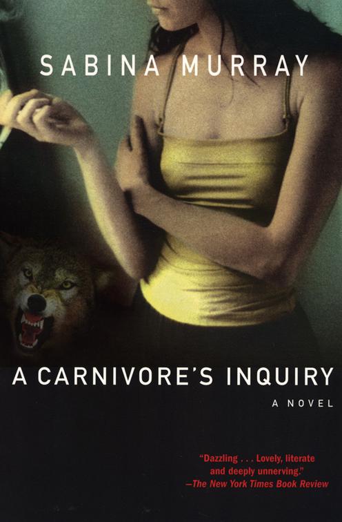 Carnivore&#x27;s Inquiry