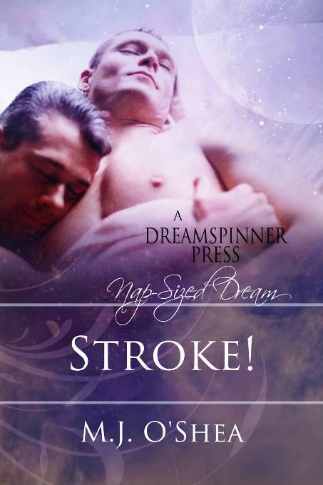 This image is the cover for the book Stroke!