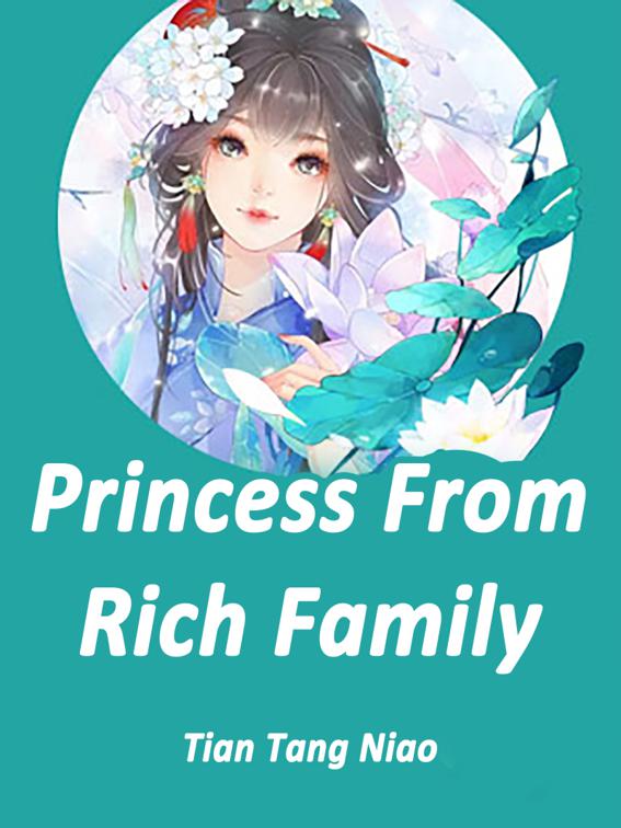 Princess From Rich Family, Volume 2