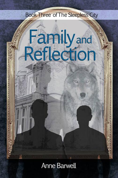 This image is the cover for the book Family and Reflection, The Sleepless City