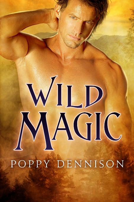 This image is the cover for the book Wild Magic, Triad