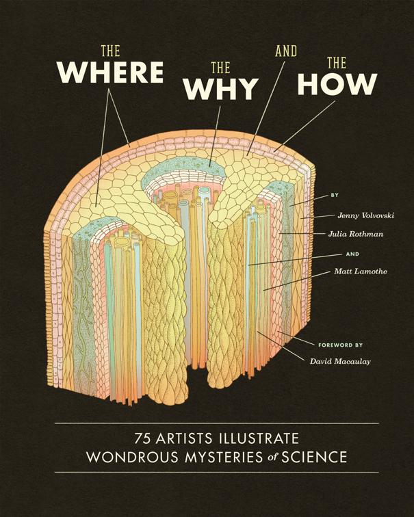Where, The Why, and The How