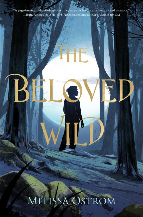 Beloved Wild