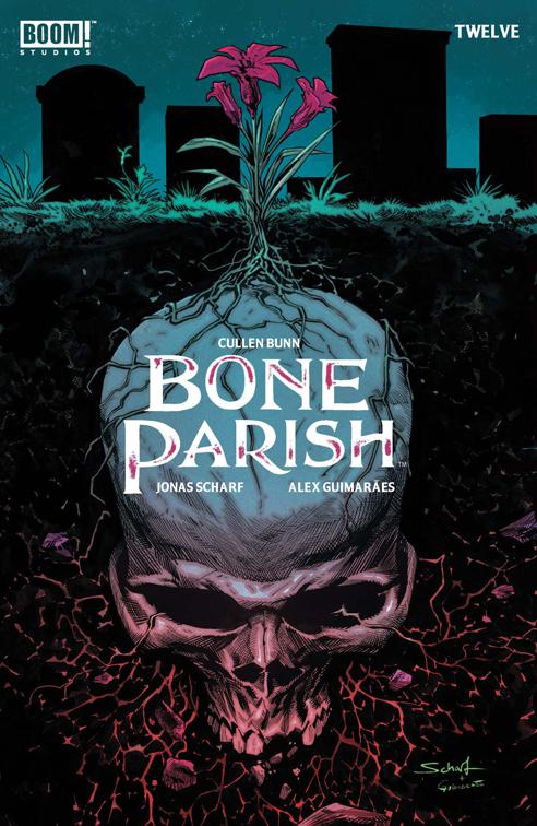 This image is the cover for the book Bone Parish #12, Bone Parish