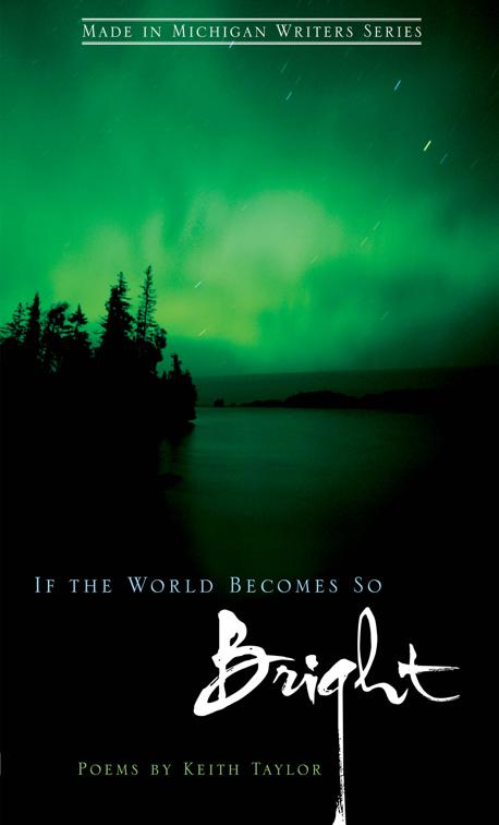 If the World Becomes So Bright, Made in Michigan Writers Series