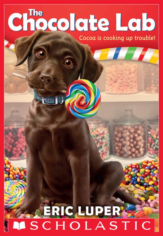 Chocolate Lab, The Chocolate Lab